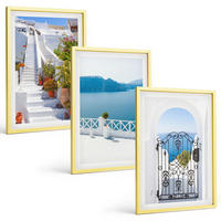 BILDER SET 3er Set - 40x60 cm Goldrahmen - Weiße Treppenpflanzen Seetor - Goldfarben, Kunststoff (40/60cm) - TULUP