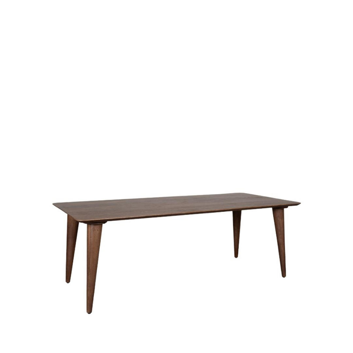 ESSTISCH Fly - Brown - 250/100/76 cm - Braun, Holz (100/250/76cm) - LABEL51