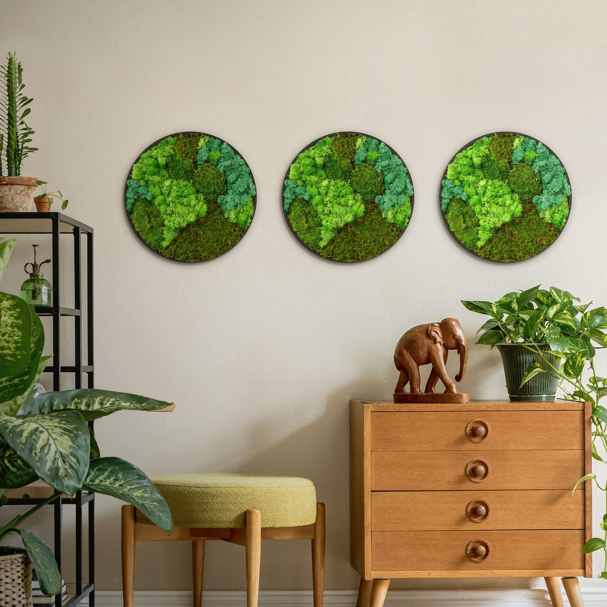 MOOSBILD Rund Ø 40 cm Mooswand Indoor mit echtem echtem Kugelmoos-Islandmoos-Flachmoos-Mix und Holzrahmen Grün - Waldgrün, Naturmaterialien (40/40/3cm) - ECD-Germany