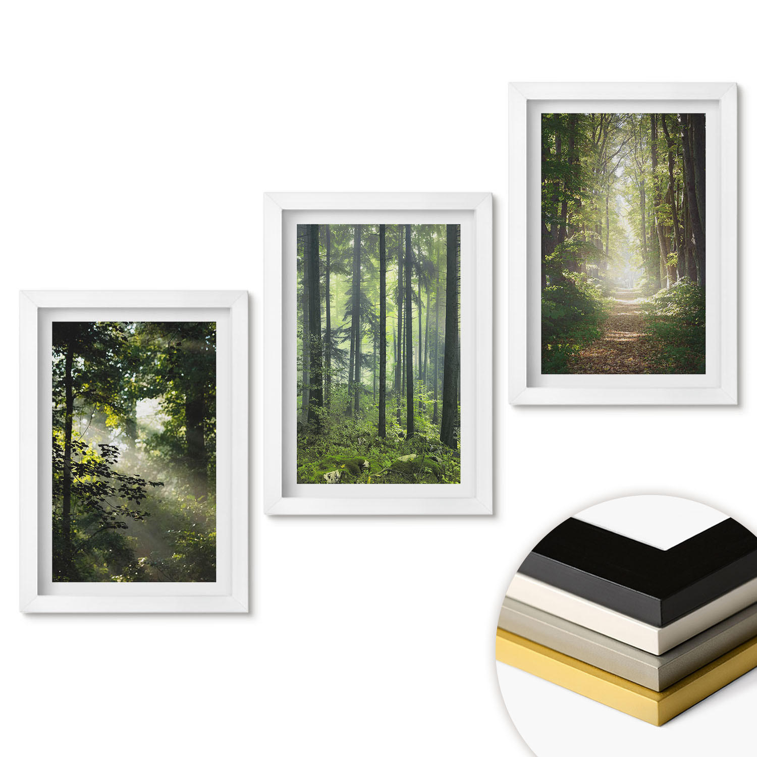 WANDBILDER 3er-Set - 20x30 cm Weißer Rahmen - Grüne Wälder mit Lichtstrahlen - Weiß, Kunststoff (20/30cm) - ArtPrintCave