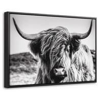 LEINWAND Bilder mit Rahmen - Kuh - Schottischer Hochländer - Schwarz - Weiß - Tier - Natur - Wildtiere - 30x20 - Schwarz, Textil (30/20cm) - MuchoWow