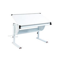 SCHREIBTISCH Weiß - Weiß, Holzwerkstoff (118/63/72cm) - ebuy24