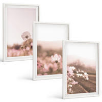 BILDER SET 3er Set - 40x60 cm Weißer Rahmen - Sommerlandschaften mit Wildblumenwiesen - Weiß, Kunststoff (40/60cm) - TULUP