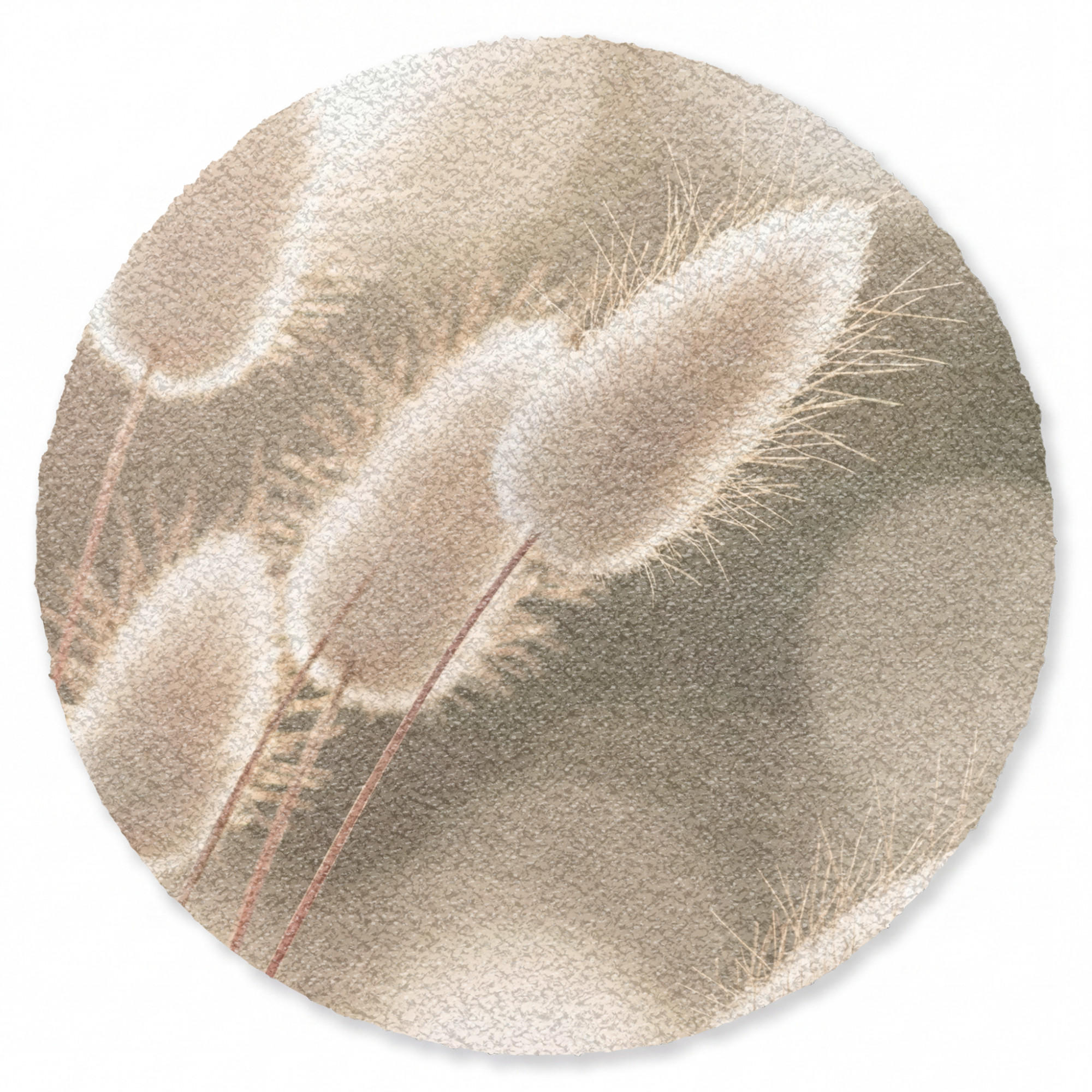 KOBERCE - Chvostoskok - Biely - Slnečné svetlo - 120x120 cm - béžová, textil/plast (120/0.4cm) - OnlyWow
