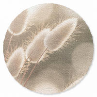 KOBERCE - Chvostoskok - Biely - Slnečné svetlo - 120x120 cm - béžová, textil/plast (120/0.4cm) - OnlyWow