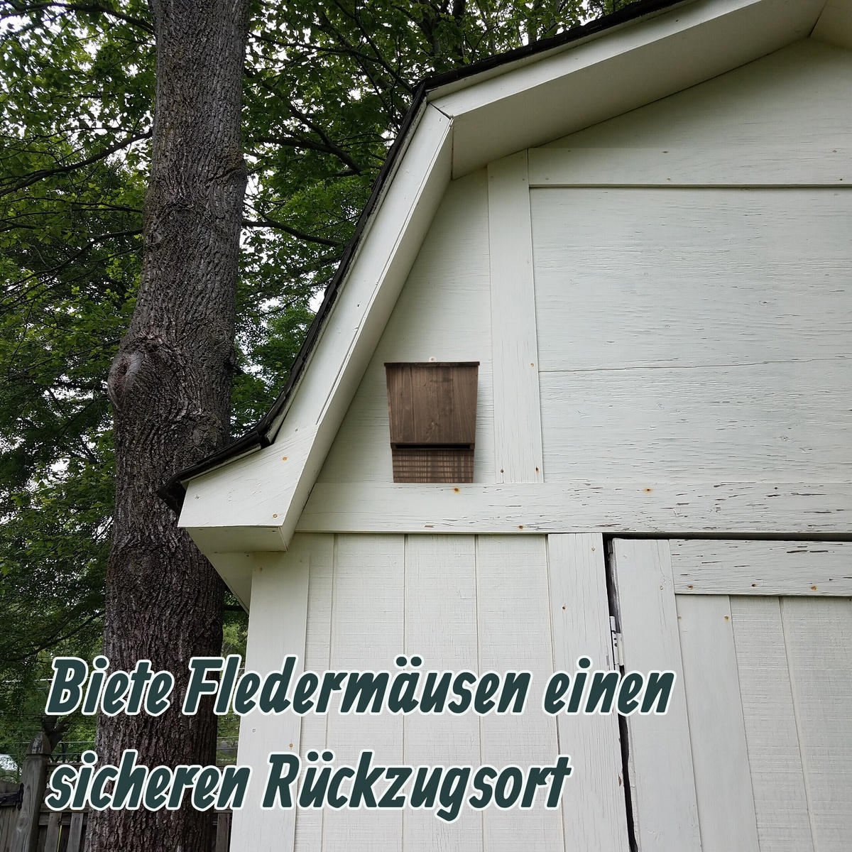 4XFLEDERMAUSKASTEN - Dunkelbraun, Holz (22.5/34/12.5cm) - Relaxdays