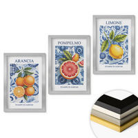 WANDBILDER 3er Set - 20x30 cm Silberner Rahmen - Vintage-Illustrationen von Zitrusfrüchten - Silberfarben, Kunststoff (20/30cm) - ArtPrintCave