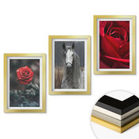 WANDBILDER 3er Set - 20x30 cm Goldrahmen - Rote Rosen, Pferdegrau, Welt - Goldfarben, Kunststoff (20/30cm) - ArtPrintCave