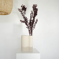 RUSKUS / Mäusedorne konserviert - weinrot - Weinrot, Naturmaterialien (75cm) - Lykke & You