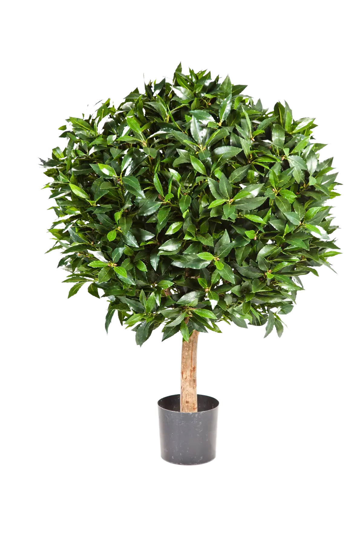 LORBEER Künstlicher Lorbeer - Rosa 95 cm - Grün, Kunststoff (95cm) - aplanta