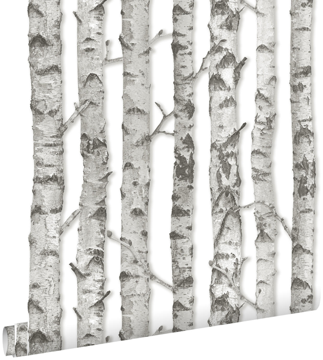 TAPETE Birkenstämme 53 cm x 10.05 m - Grau, Papier (53/1000cm) - ESTAhome
