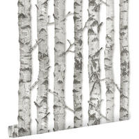 TAPETE Birkenstämme 53 cm x 10.05 m - Grau, Papier (53/1000cm) - ESTAhome
