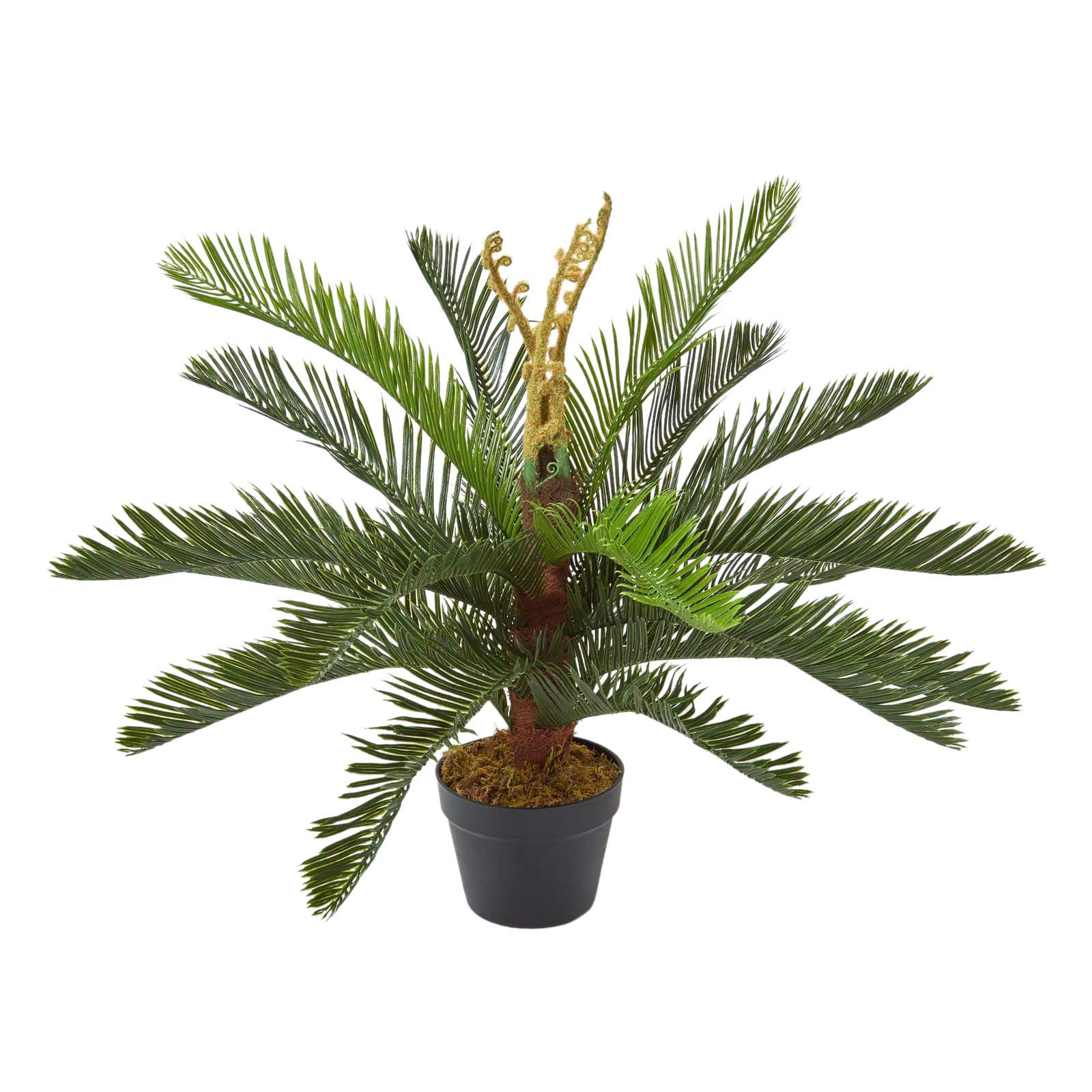 KUNSTPFLANZE Palmfarn grün, 75 cm - Grün, Kunststoff (75cm) - Homescapes