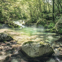 FOTOTAPETE Landschaft 400 x 250 cm - Grün, Papier (400/250cm) - Sanders & Sanders