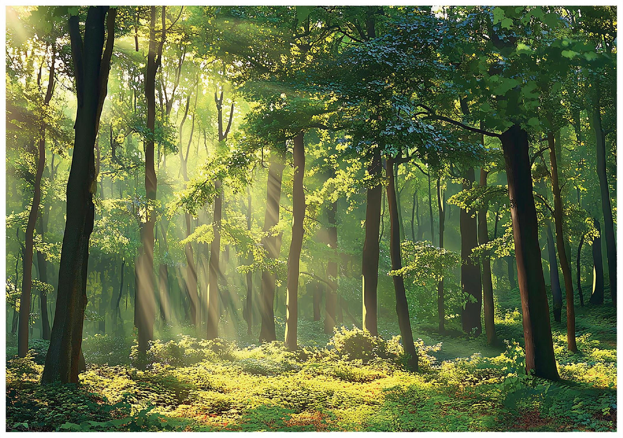 FOTOTAPETE Wald Natur Vlies Tapete Wohnzimmer Schlafzimmer 350x250 - Grün, Papier (350/250cm) - Wallarena