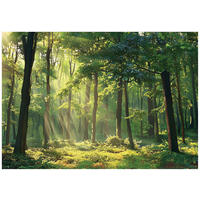 FOTOTAPETE Wald Natur Vlies Tapete Wohnzimmer Schlafzimmer 150x105 - Grün, Papier (150/105cm) - Wallarena