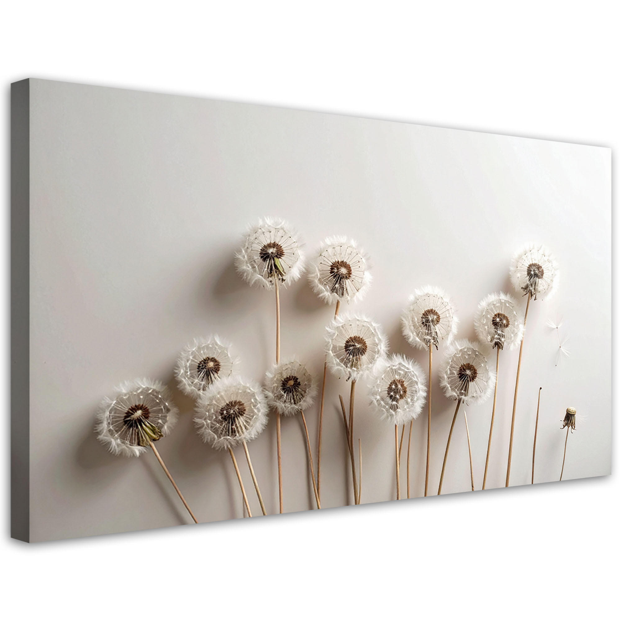 Feeby Leinwandbild Beige 100x50 cm