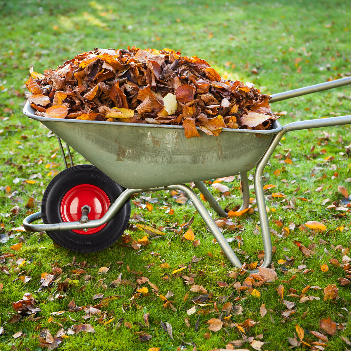 SCHUBKARRENRAD - Multicolor, Kunststoff/Metall (39/39/9cm) - Relaxdays