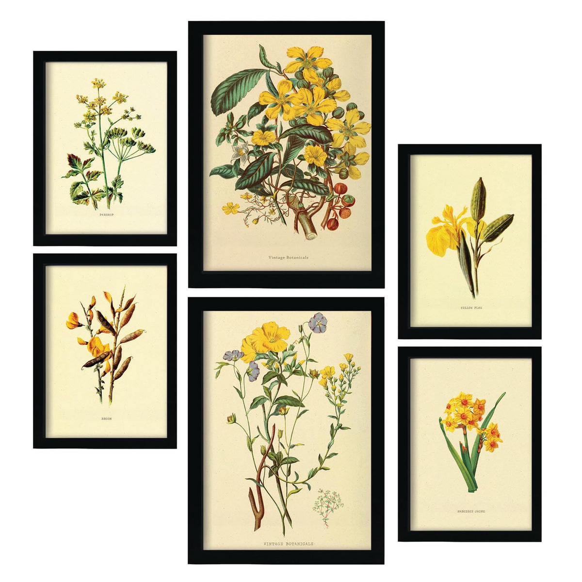POSTER Set Mit 6 Gelbe Blumen 2 In Vintage A3 & A4 Rahmenlos - Klar, Papier (29/3cm) - Nacnic