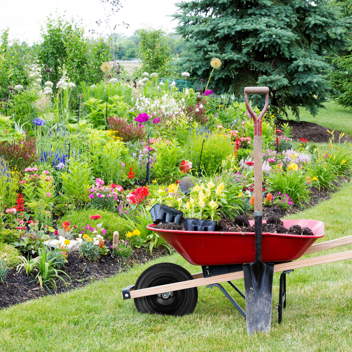 SCHUBKARRENRAD - Schwarz, Kunststoff/Metall (34.5/34.5/9cm) - Relaxdays