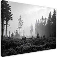 LEINWANDBILD Waldlandschaft schwarz-weiß 120x80cm - Schwarz, Textil (120/80cm) - Feeby