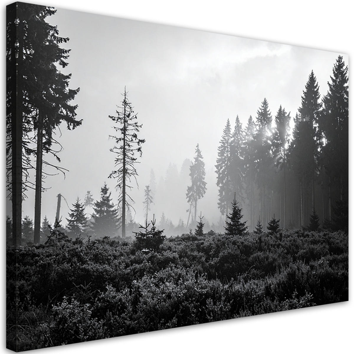 LEINWANDBILD Waldlandschaft schwarz-weiß 120x80cm - Schwarz, Textil (120/80cm) - Feeby