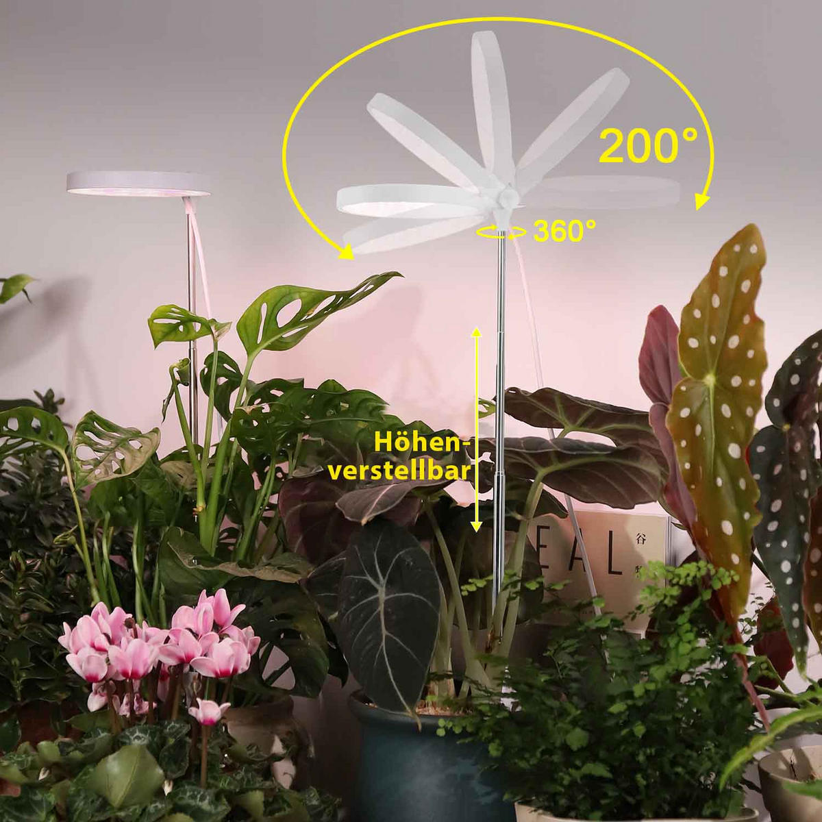 LED-PFLANZENLEUCHTE - dimmbar mit Timerfunktion und Klipphalterung für Töpfe, USB-betrieben - Weiß, Kunststoff (10/79.3/10cm) - Northpoint