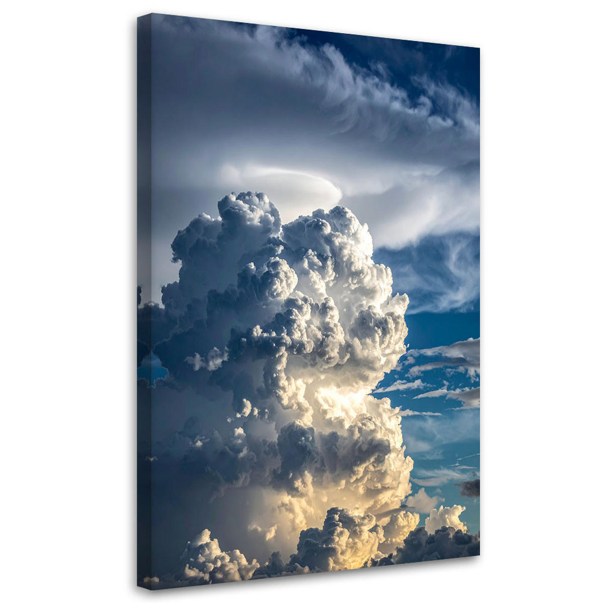 LEINWANDBILD Natur und Botanik 80x120cm - Blau, Textil (80/120cm) - Feeby