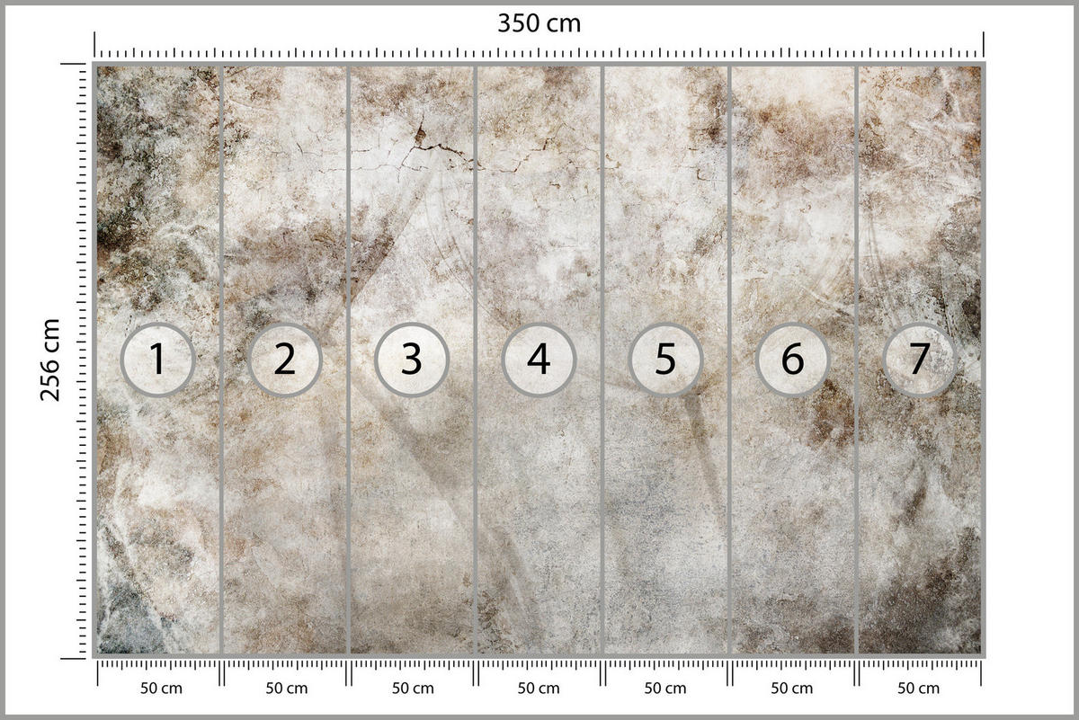 FOTOTAPETE Löwenzahnsamen Beton Retro Stil 350x256 - Beige/Braun, Papier (350/256cm) - Muralo