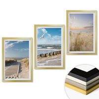 WANDBILDER 3er Set - 40x60 cm Goldrahmen - Strand, Sand, Wellen, Himmel, Vögel - Goldfarben, Kunststoff (40/60cm) - ArtPrintCave