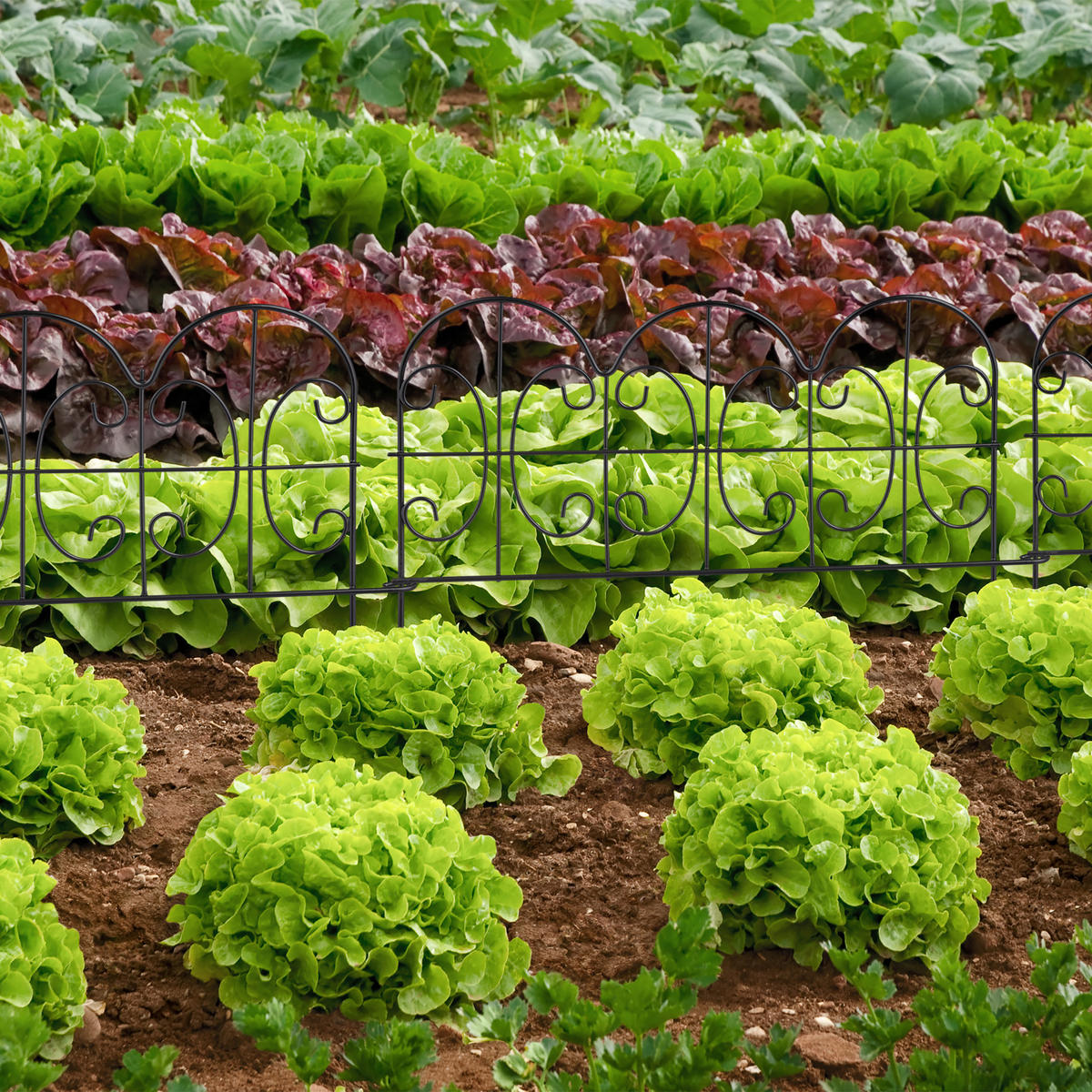 4XBEETEINFASSUNG - Schwarz, Metall (39/28.5/1cm) - Relaxdays