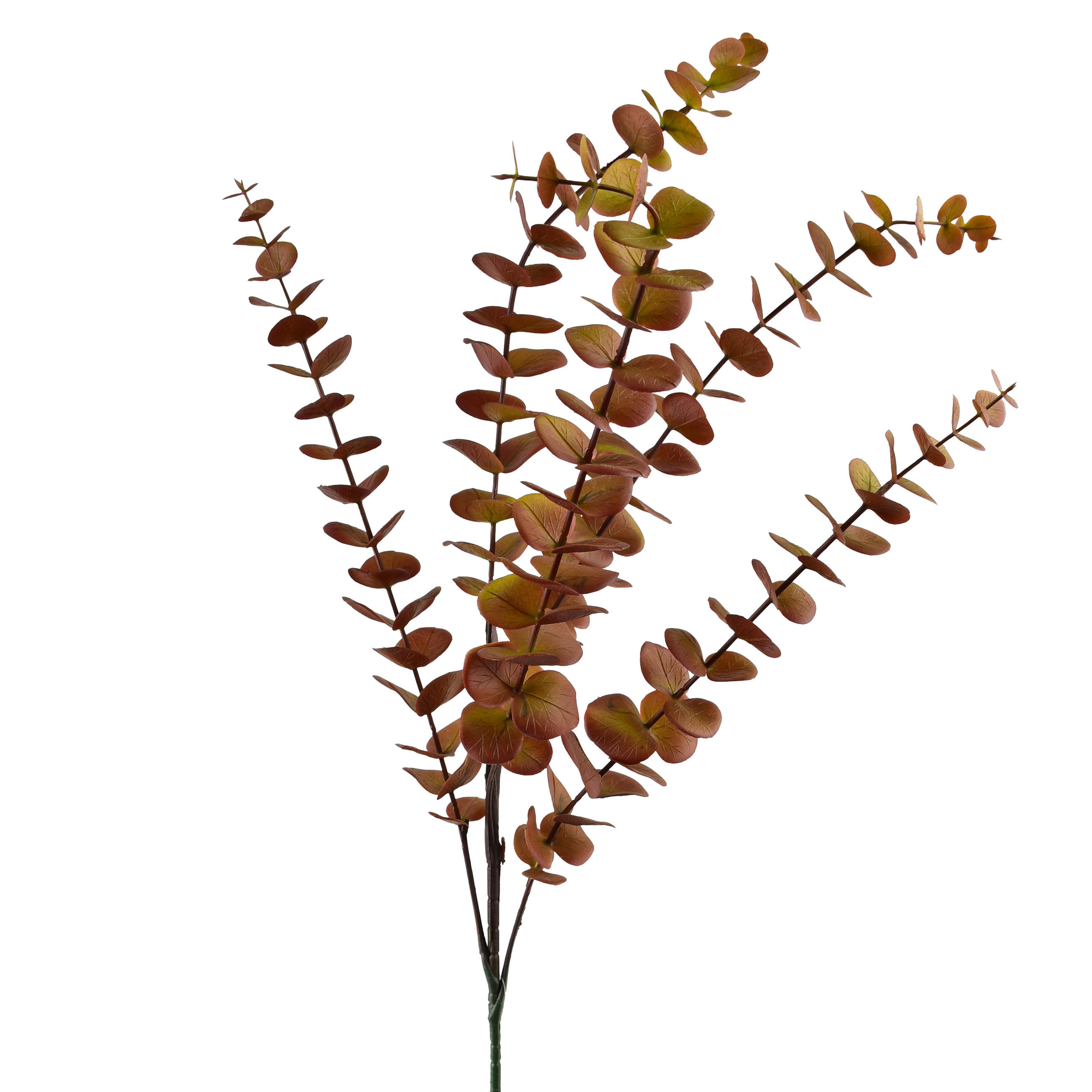 UMELÁ VETVIČKA Eukalyptus Viridis 80 cm zelená - zelená, plast (80cm) - Mondex