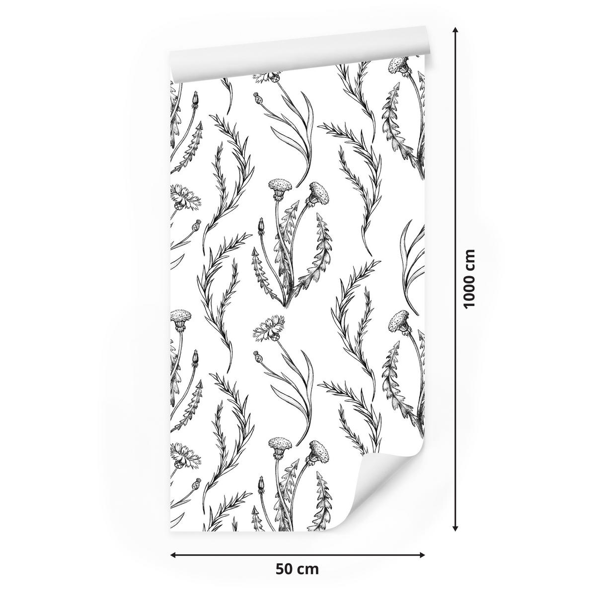 VLIESTAPETE Pusteblumen im Vintage-Stil – Schwarz, Weiß – 50x1000 cm - Schwarz/Weiß, Papier (50/1000cm) - Muralo