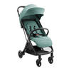 BUGGY Lauren grün verstellbar faltbar Aluminiumrahmen bis 22 kg - Grün, Metall (66/53/105cm) - Kikka boo