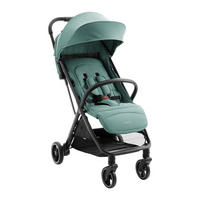 BUGGY Lauren grün verstellbar faltbar Aluminiumrahmen bis 22 kg - Grün, Metall (66/53/105cm) - Kikka boo