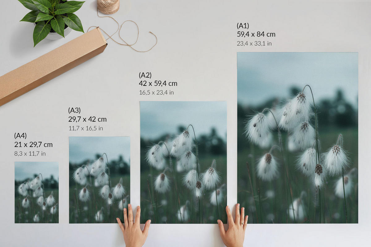 POSTER - 29x42 cm - Opps - Grasohren - Weiß, Textil (29/42/0.1cm) - TULUP