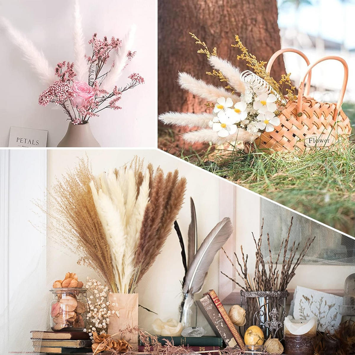 TROCKENBLUME für Blumen Arrangements Heim Decor - Multicolor, Naturmaterialien (5cm) - Kaket