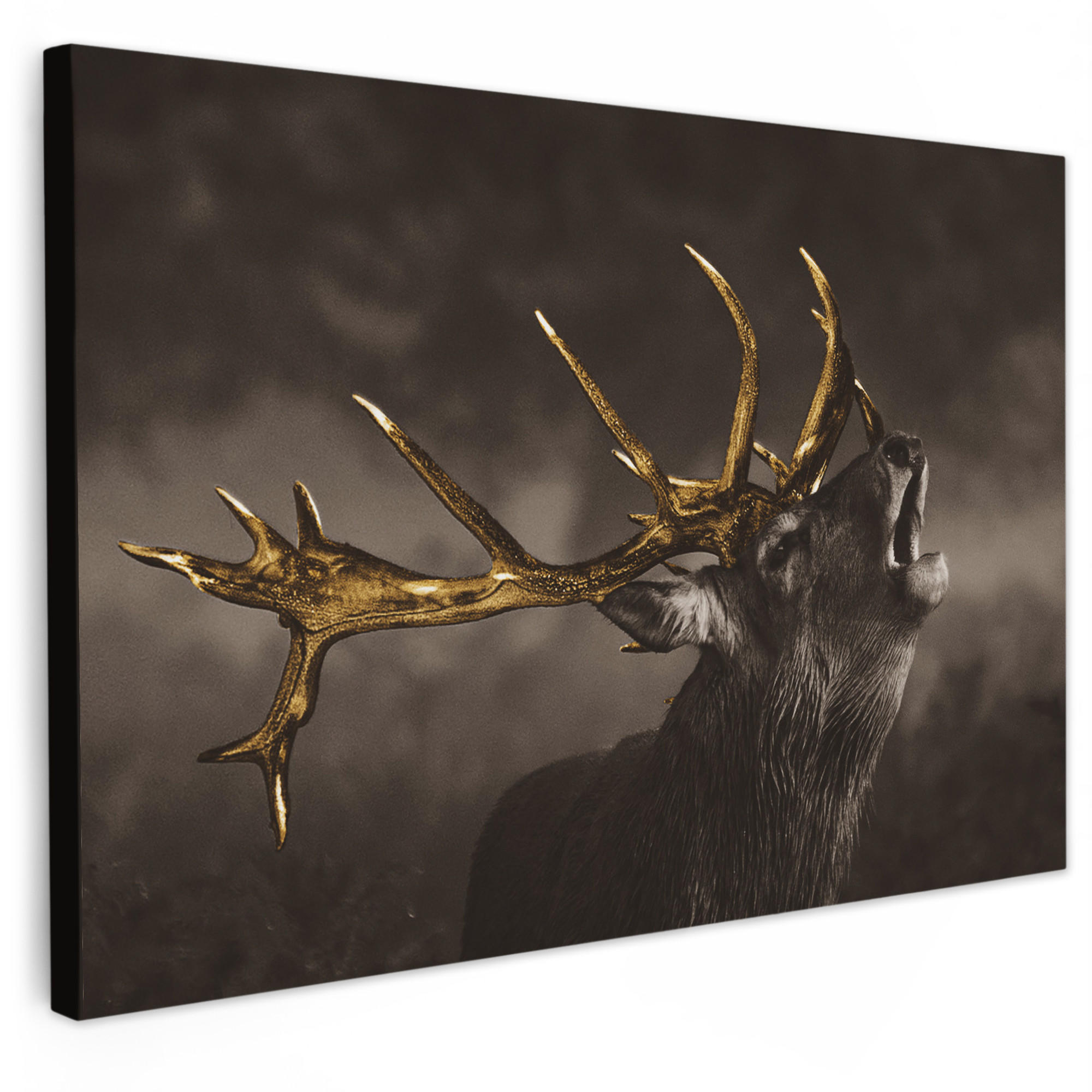 LEINWANDBILD Rotwild - Schwarz - Gold Gemälde 60x40 cm - Braun, Textil (60/40cm) - MuchoWow