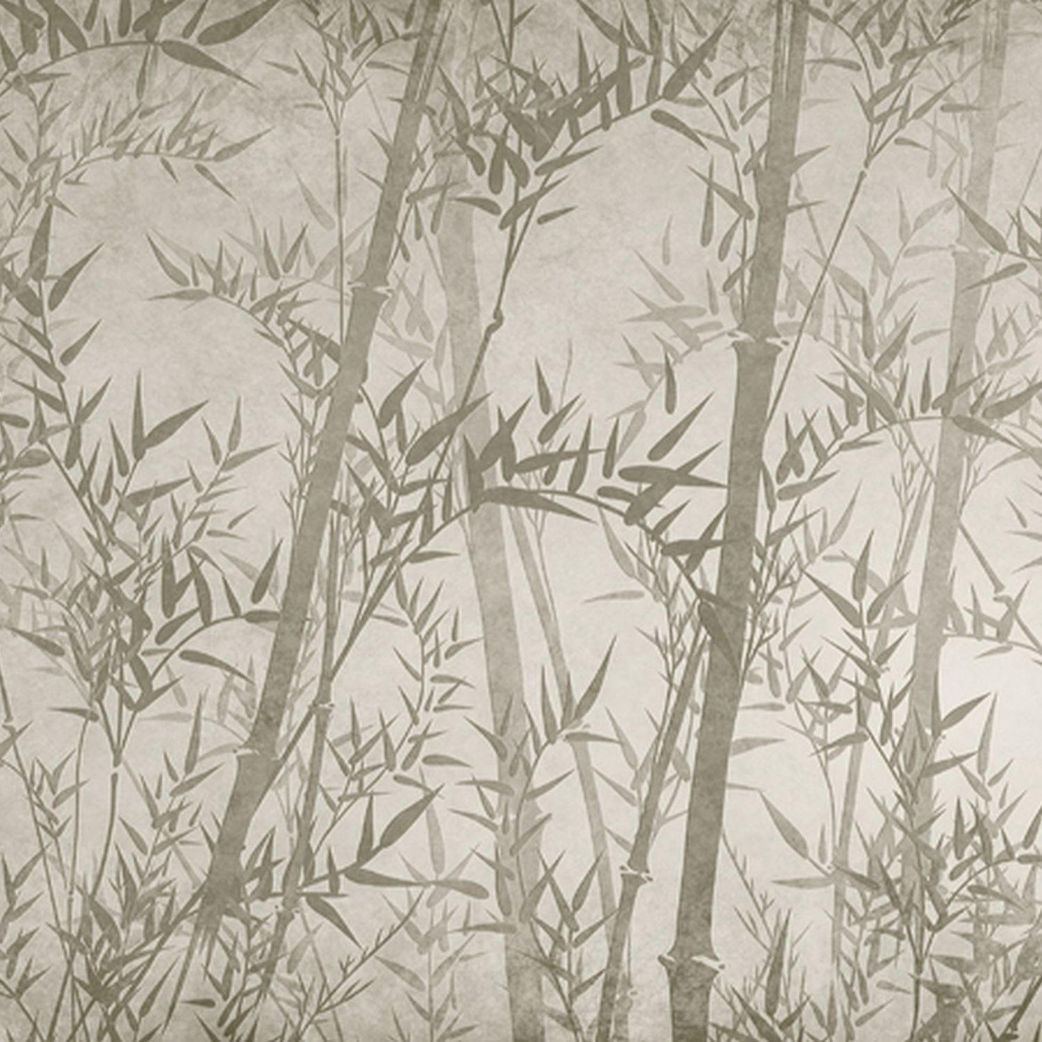 FOTOTAPETE Bambusblätter 371 x 280 cm - Grün, Papier (371/280cm) - Sanders & Sanders