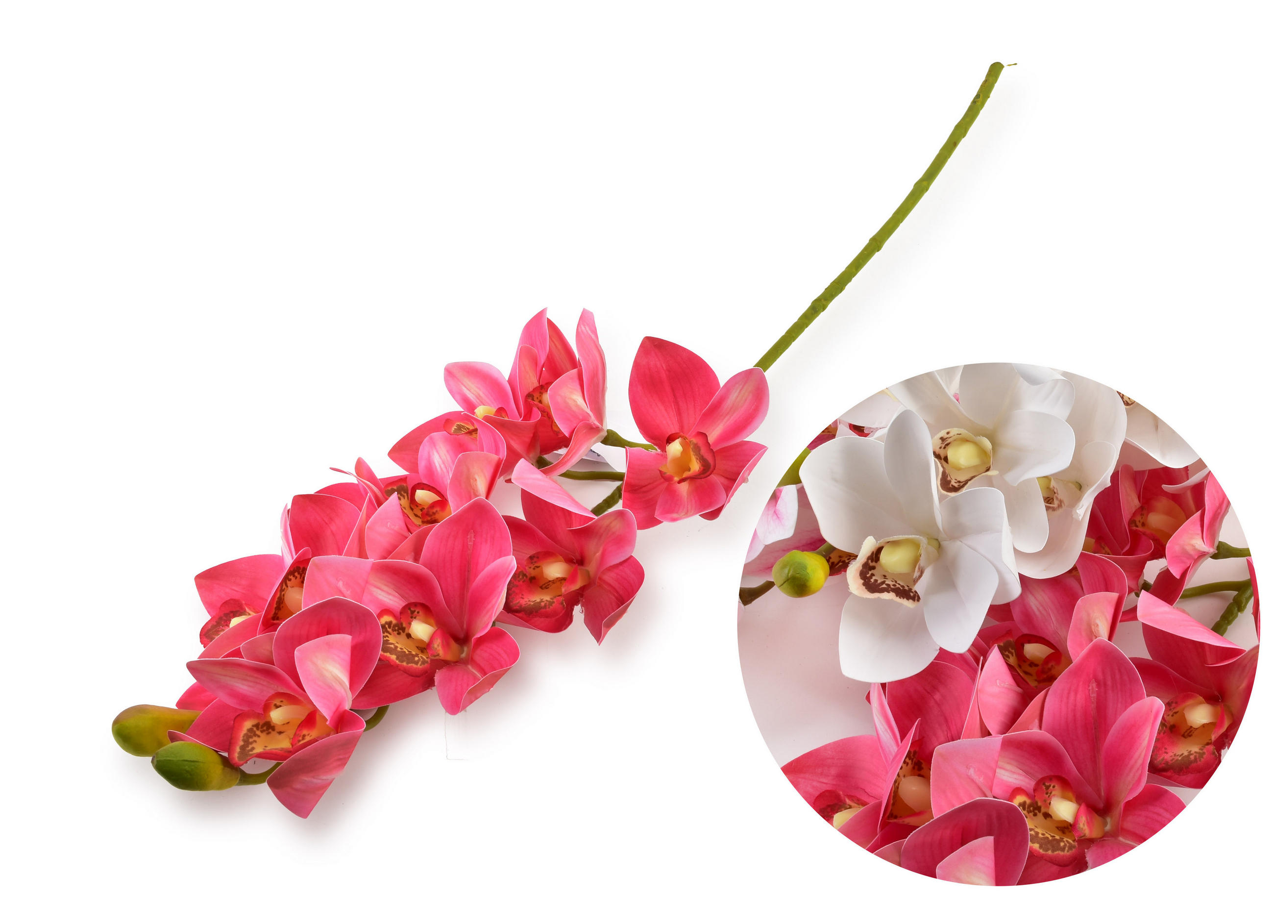 KUNSTBLUME Viridis Orchidee Rosa 74/74/74 cm Kunstoff - Rosa, Kunststoff (74cm) - Mondex