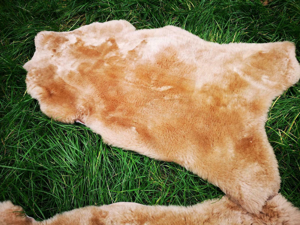 FELL Deutsches Merino Lammfell Schaffell Hellbraun ca. 135 cm - Hellbraun, Fell (80/135cm) - Provellus