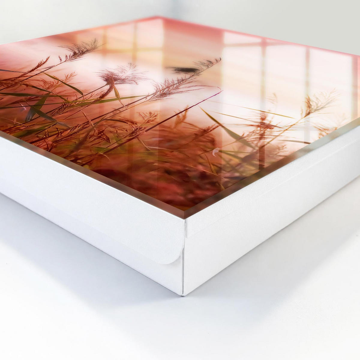 SCHLÜSSELBOX Weiß 30x30 cm – Türöffnung nach rechts - Gräser im Morgengrauen - Orange, Metall (30/30/5cm) - TULUP