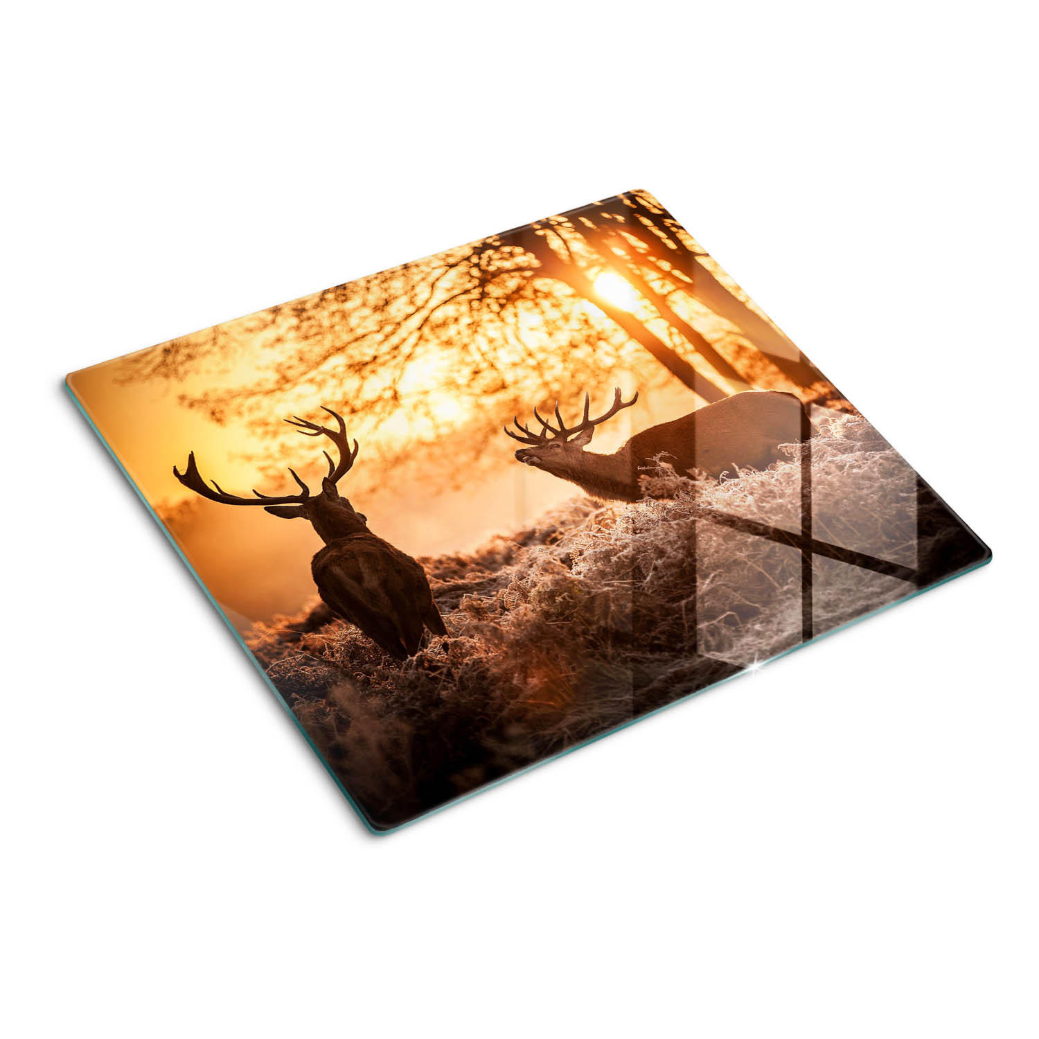 GLASPLATTE 60x52 cm Sonnenaufgang über dem Hirsch - Schwarz Hochglanz/Grau, Glas (60/0.4/52cm) - TULUP