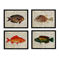 POSTER Set mit 4 Enzyklopädie mit Fische in verschiedenen Farben A4 Schwarzer Rahmen - Schwarz, Papier (29.7/3cm) - Nacnic