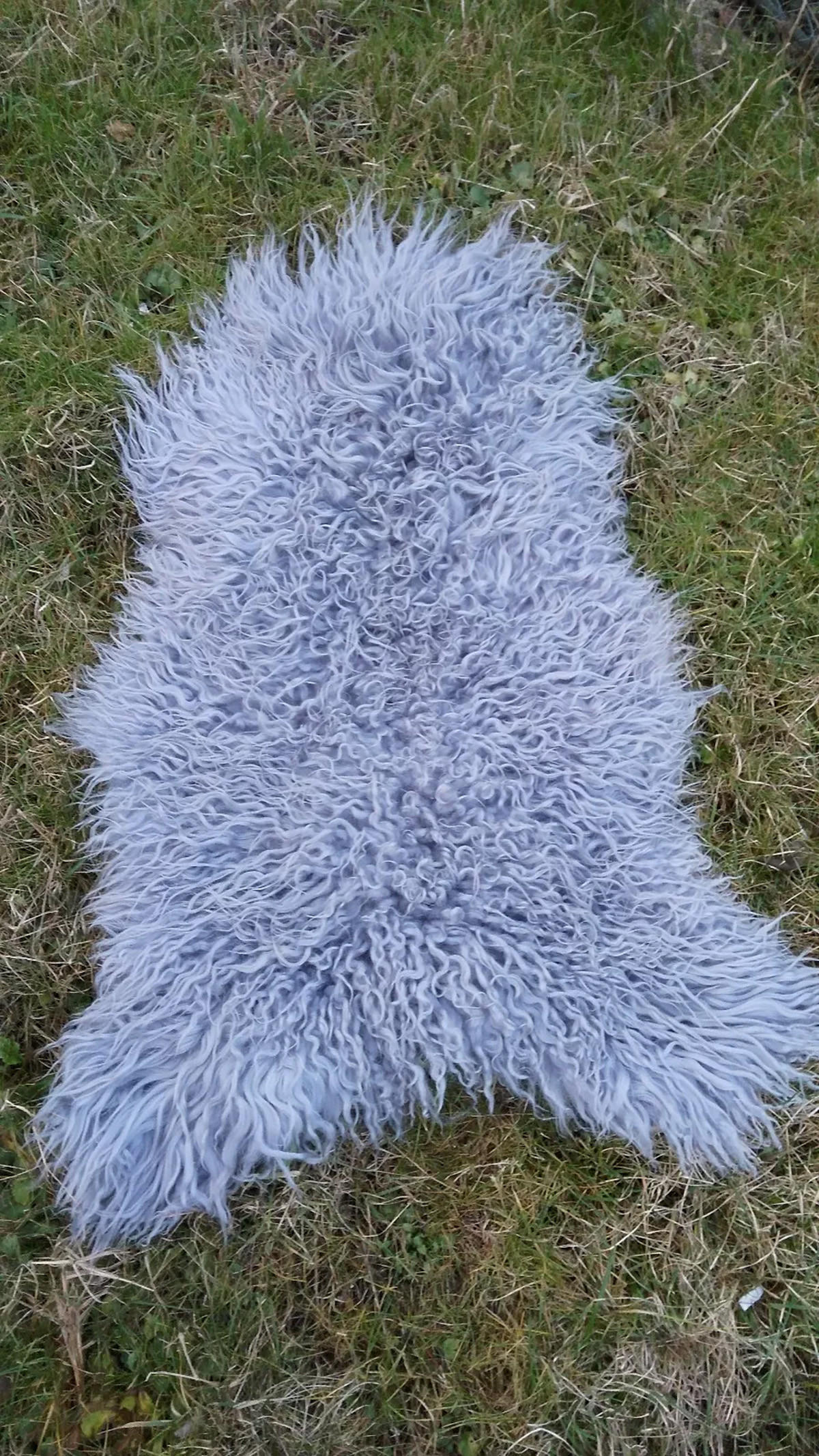 SCHAFFELL Island Lammfell lockig ca. 110 cm Naturfarben - Grau, Fell (60/110cm)