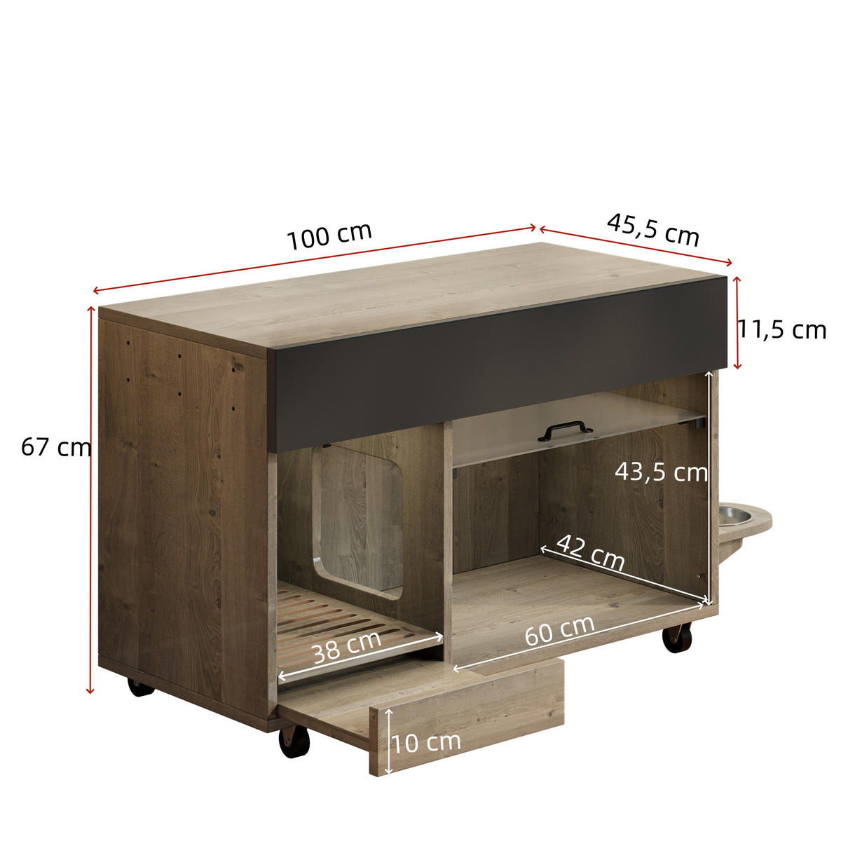 SIDEBOARD Katzentoiletten-Schrank mit versteckter Acryl Tür und Stauraum, MDF Holzoptik kompakt - Transparent/Eichefarben, Holzwerkstoff/Kunststoff (100/67/45.5cm) - EVRYAE