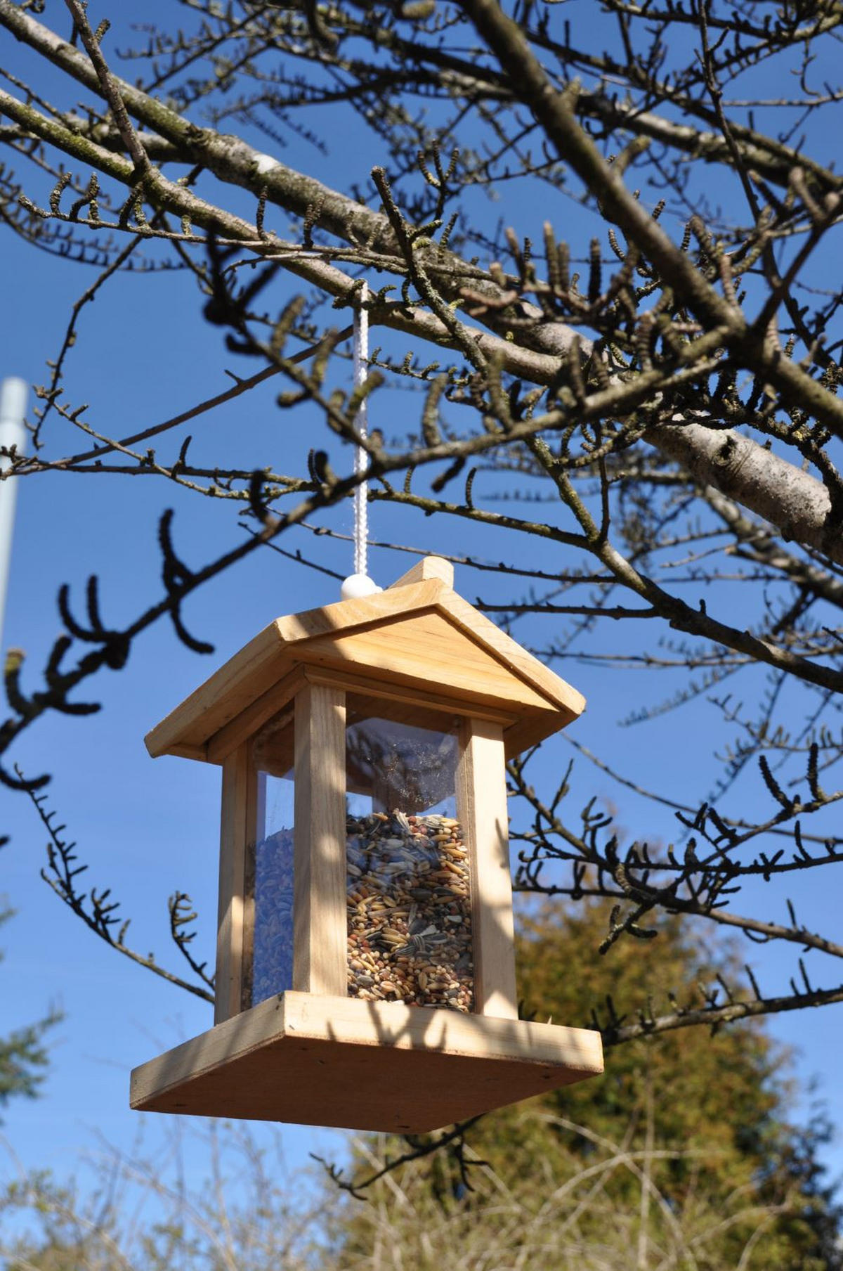 VOGELFUTTERHAUS aus Holz Maße ca.: 14,5 x 14,5 x 22cm - Transparent, Holz (14.5/22/14.5cm) - Haushalt International