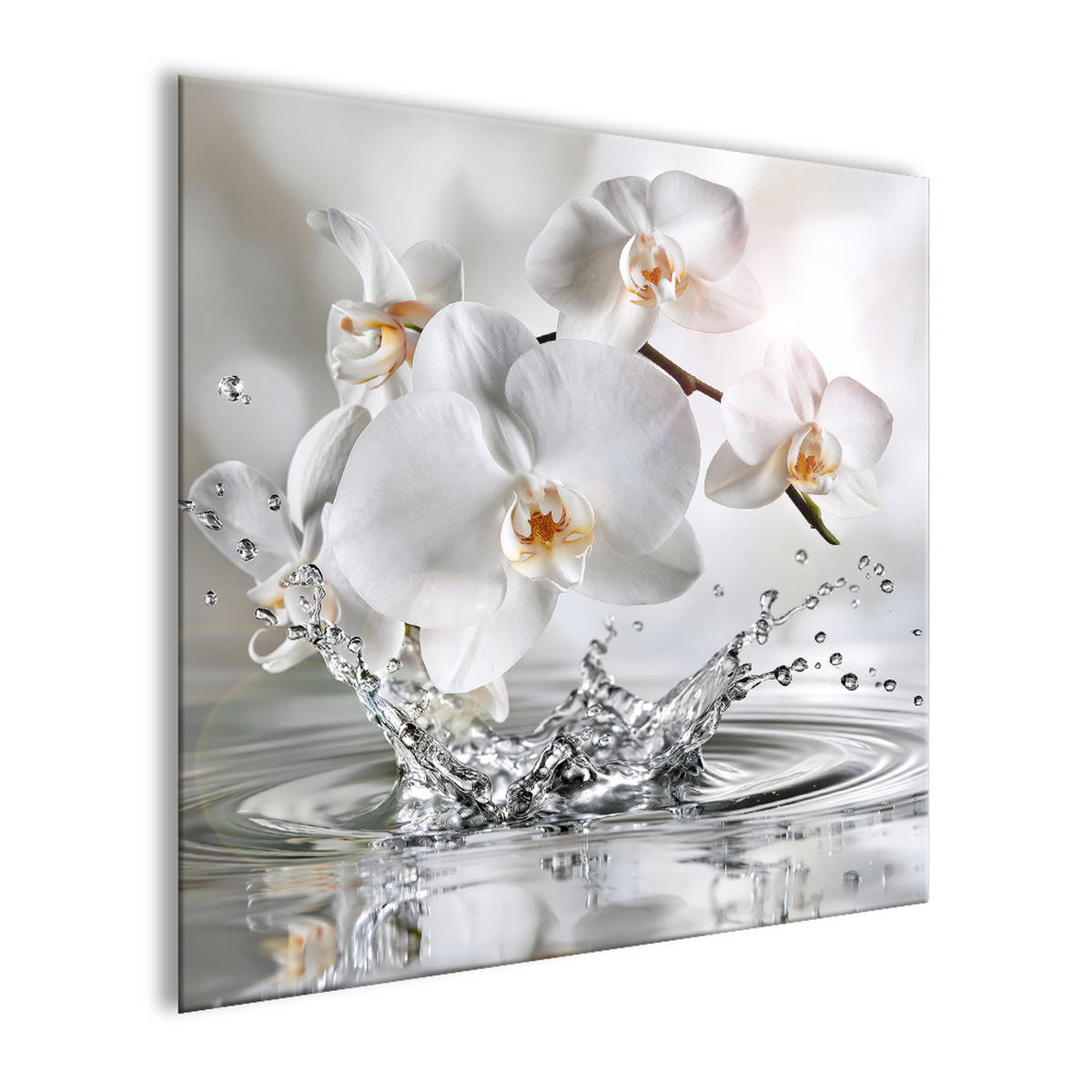 GLASBILD 50x50 cm Blumen Orchideen weiß-silber - Silberfarben, Glas (50/50cm) - artissimo