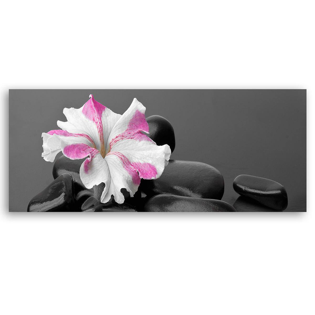 WANDBILD stones rosa blume zen - Schwarz, Textil (90/30cm) - Feeby