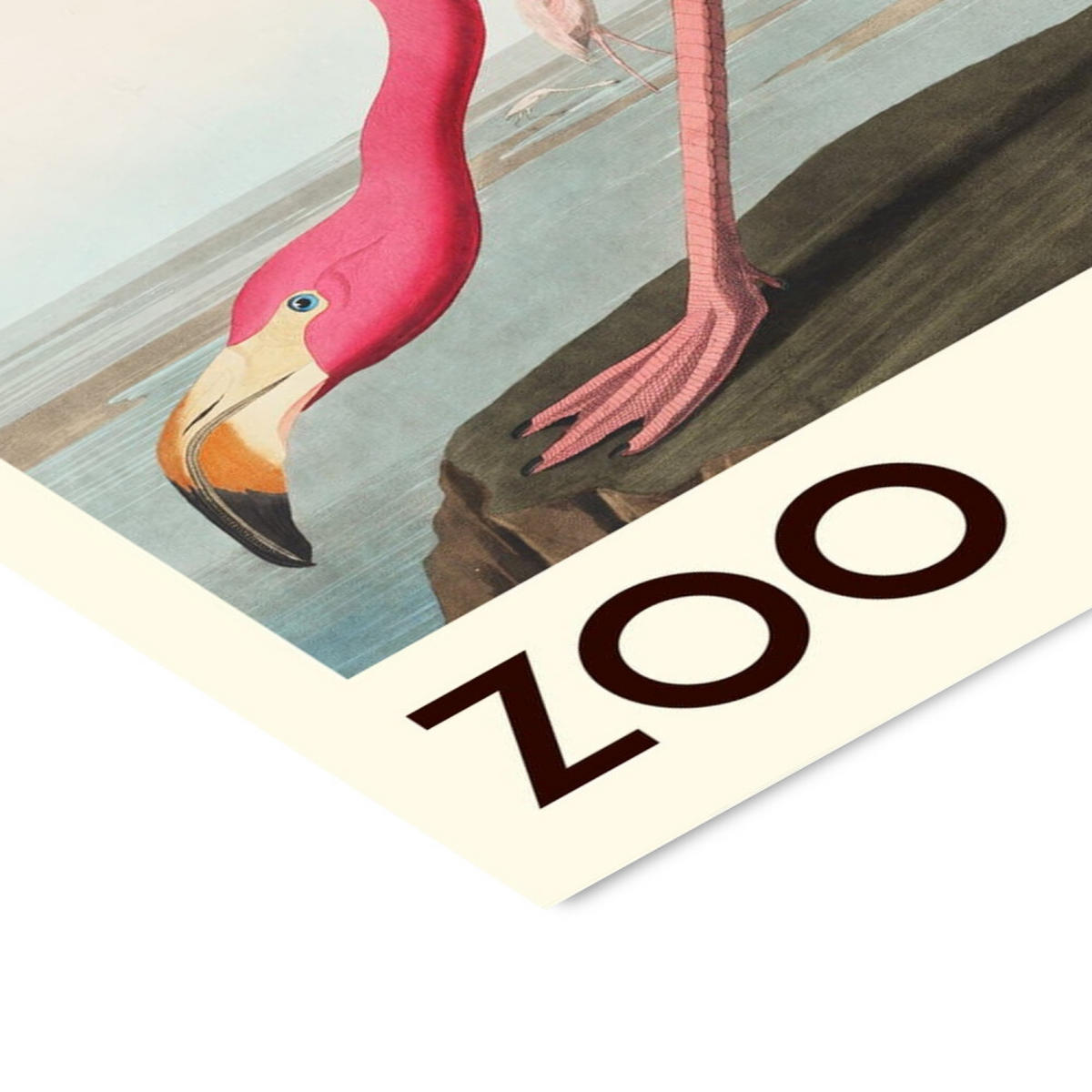 POSTER mit Rahmen A.P. Atelier - The Zoo Collection — Pink Flamingo — Edt. 001 - Pink/Schwarz, Holz/Papier (70/100cm) - Poster&Frame